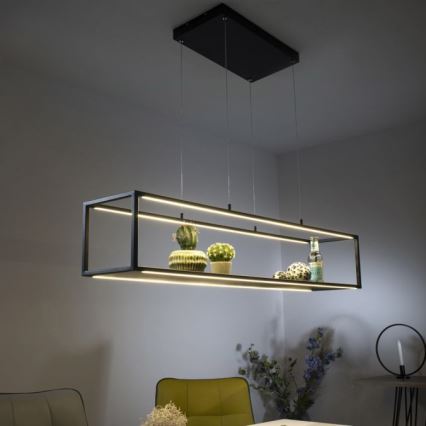 Paul Neuhaus 2441-18 - LED Himmennettävä kattokruunu narussa CONTURA 4xLED/8W/230V