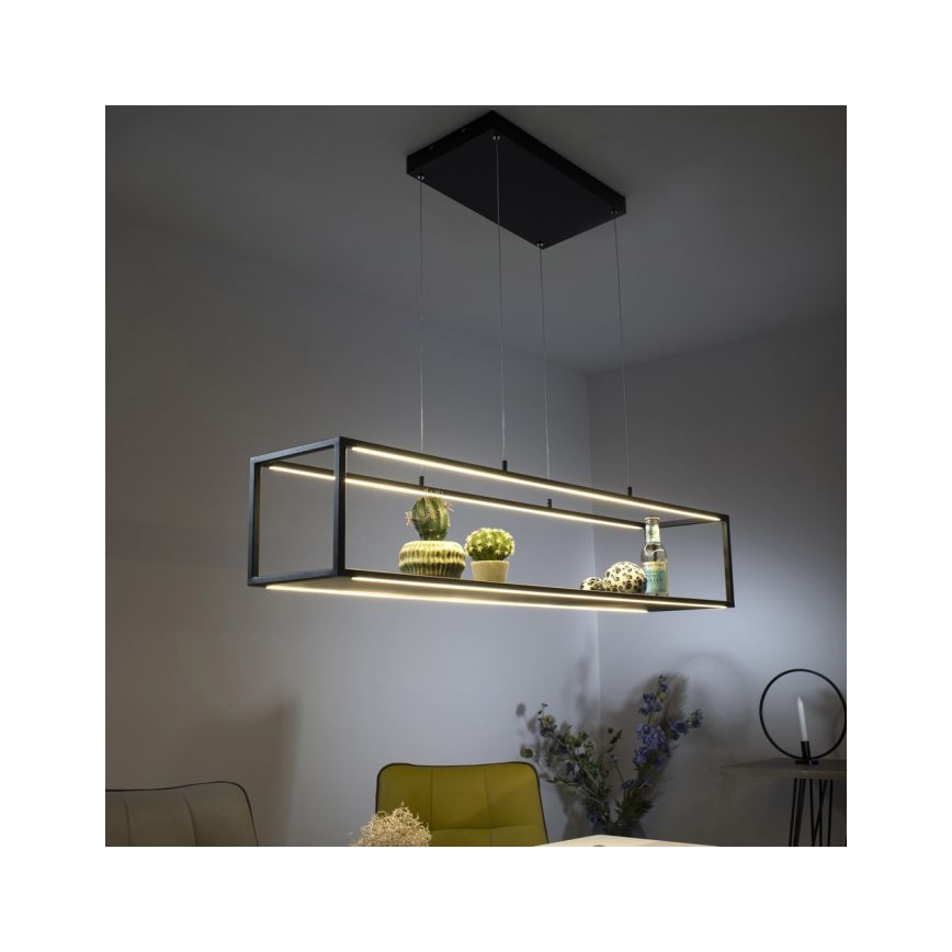 Paul Neuhaus 2441-18 - LED Himmennettävä kattokruunu narussa CONTURA 4xLED/8W/230V