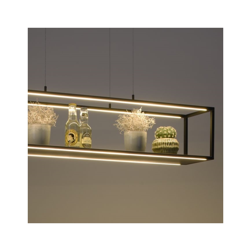 Paul Neuhaus 2441-18 - LED Himmennettävä kattokruunu narussa CONTURA 4xLED/8W/230V