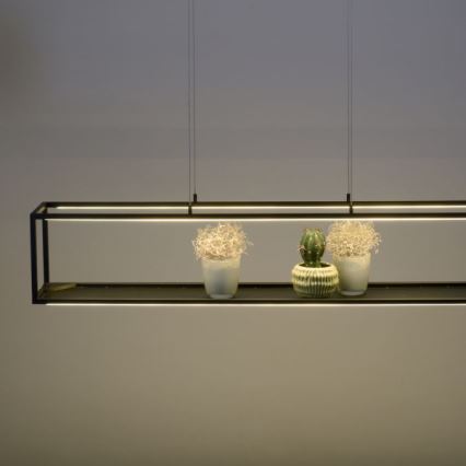 Paul Neuhaus 2441-18 - LED Himmennettävä kattokruunu narussa CONTURA 4xLED/8W/230V