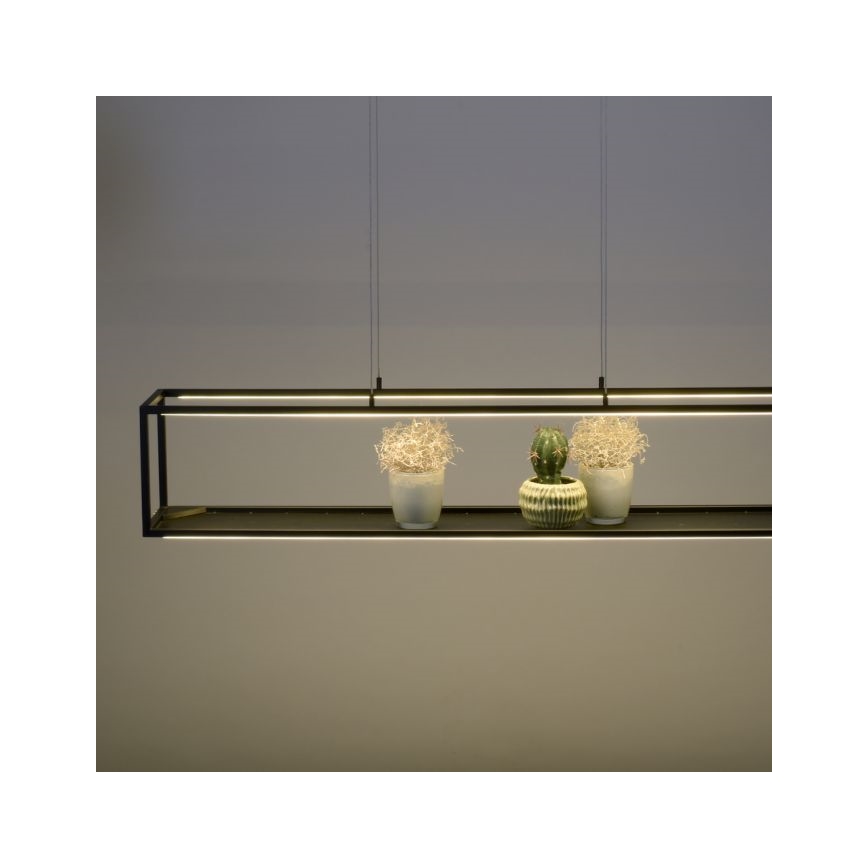Paul Neuhaus 2441-18 - LED Himmennettävä kattokruunu narussa CONTURA 4xLED/8W/230V