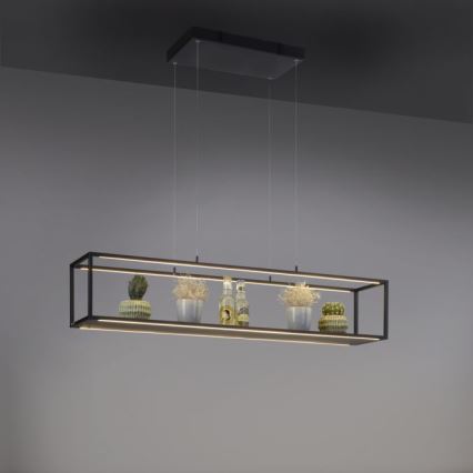 Paul Neuhaus 2441-18 - LED Himmennettävä kattokruunu narussa CONTURA 4xLED/8W/230V
