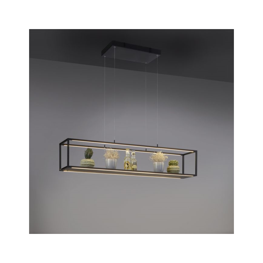 Paul Neuhaus 2441-18 - LED Himmennettävä kattokruunu narussa CONTURA 4xLED/8W/230V