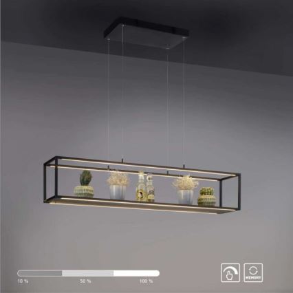 Paul Neuhaus 2441-18 - LED Himmennettävä kattokruunu narussa CONTURA 4xLED/8W/230V