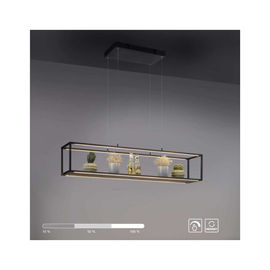 Paul Neuhaus 2441-18 - LED Himmennettävä kattokruunu narussa CONTURA 4xLED/8W/230V