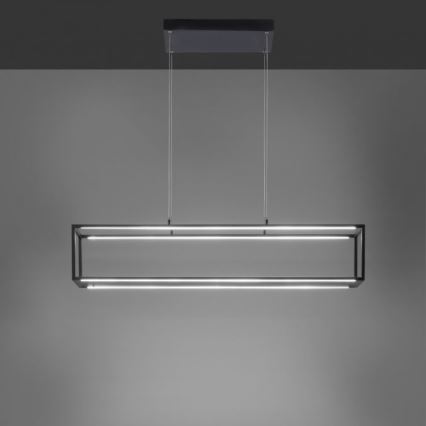 Paul Neuhaus 2441-18 - LED Himmennettävä kattokruunu narussa CONTURA 4xLED/8W/230V
