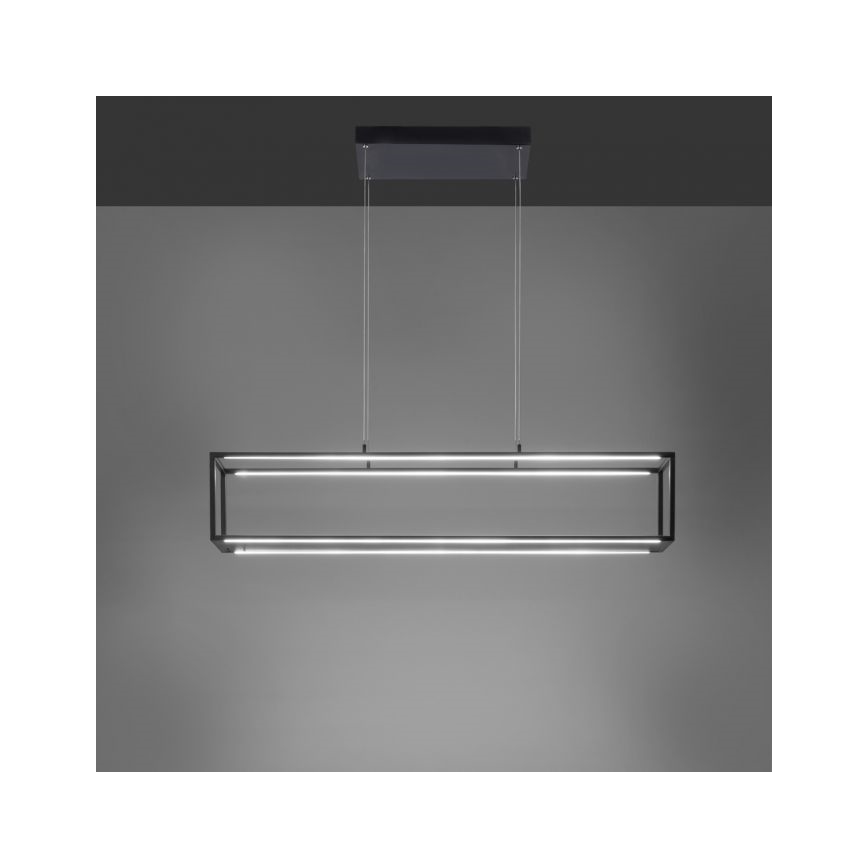 Paul Neuhaus 2441-18 - LED Himmennettävä kattokruunu narussa CONTURA 4xLED/8W/230V
