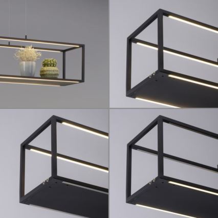 Paul Neuhaus 2441-18 - LED Himmennettävä kattokruunu narussa CONTURA 4xLED/8W/230V