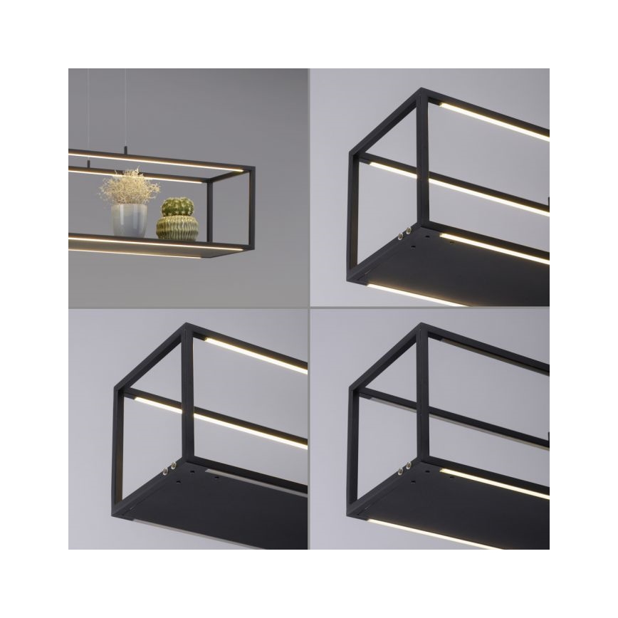 Paul Neuhaus 2441-18 - LED Himmennettävä kattokruunu narussa CONTURA 4xLED/8W/230V