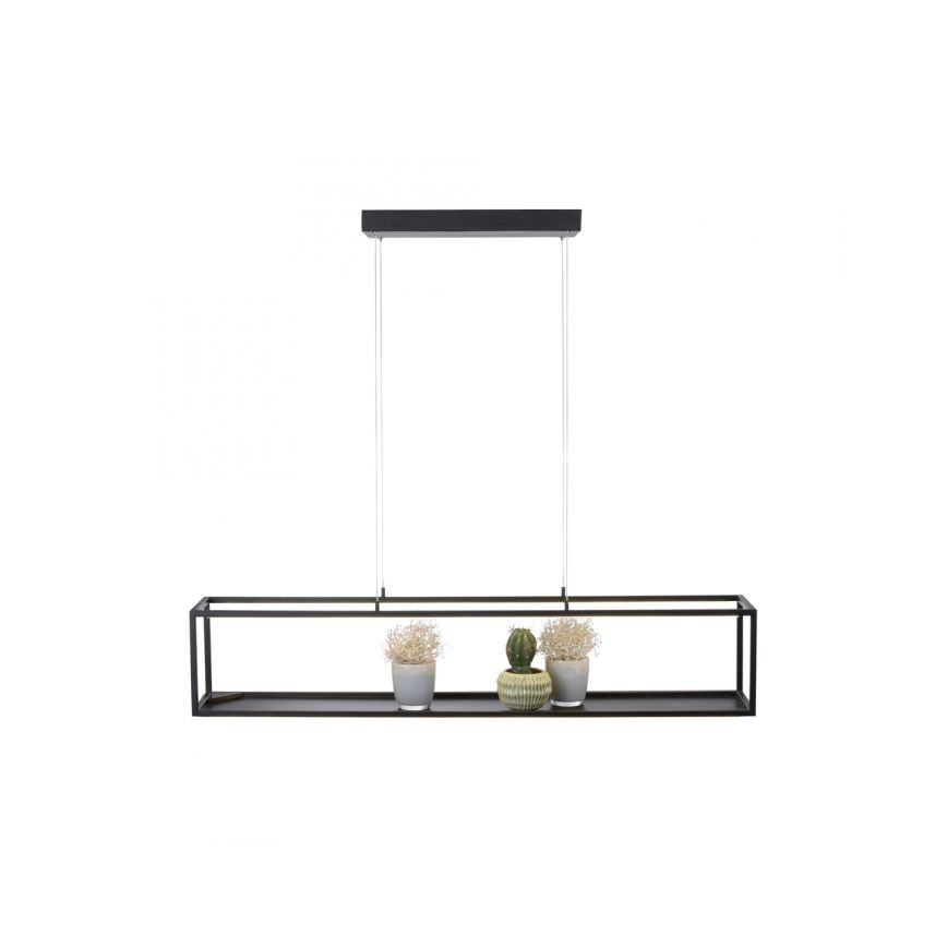 Paul Neuhaus 2441-18 - LED Himmennettävä kattokruunu narussa CONTURA 4xLED/8W/230V