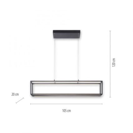 Paul Neuhaus 2441-18 - LED Himmennettävä kattokruunu narussa CONTURA 4xLED/8W/230V