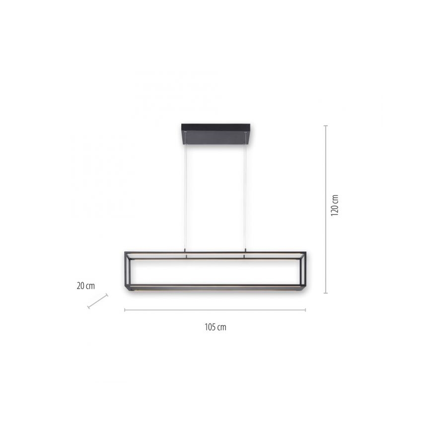 Paul Neuhaus 2441-18 - LED Himmennettävä kattokruunu narussa CONTURA 4xLED/8W/230V