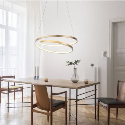 Paul Neuhaus 2472-12 - LED-himmennettävä riippuvalaisin OMAN LED / 30W / 230V kulta