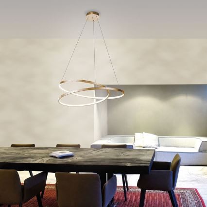 Paul Neuhaus 2472-12 - LED-himmennettävä riippuvalaisin OMAN LED / 30W / 230V kulta