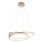 Paul Neuhaus 2474-12 - LED-himmennettävä riippuvalaisin ROMAN LED / 40W / 230V kulta