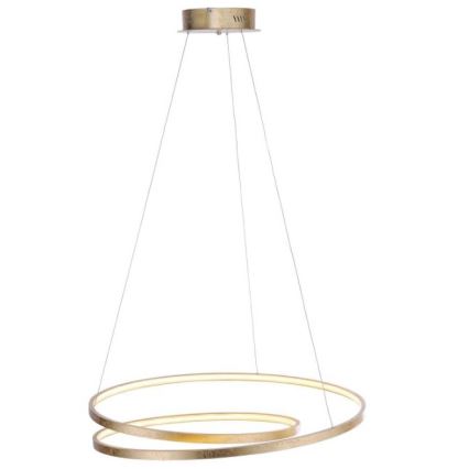 Paul Neuhaus 2474-12 - LED-himmennettävä riippuvalaisin ROMAN LED / 40W / 230V kulta