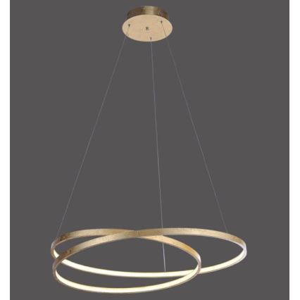 Paul Neuhaus 2474-12 - LED-himmennettävä riippuvalaisin ROMAN LED / 40W / 230V kulta