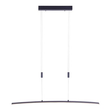 Paul Neuhaus 2530-13 - LED Himmennettävä kattokruunu johdossa JANINA LED/27W/230V