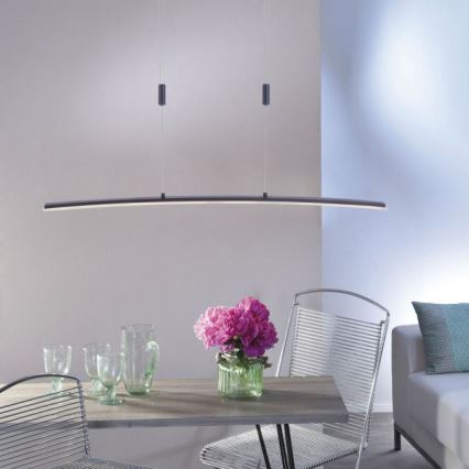 Paul Neuhaus 2530-13 - LED Himmennettävä kattokruunu johdossa JANINA LED/27W/230V