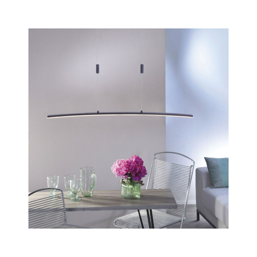 Paul Neuhaus 2530-13 - LED Himmennettävä kattokruunu johdossa JANINA LED/27W/230V