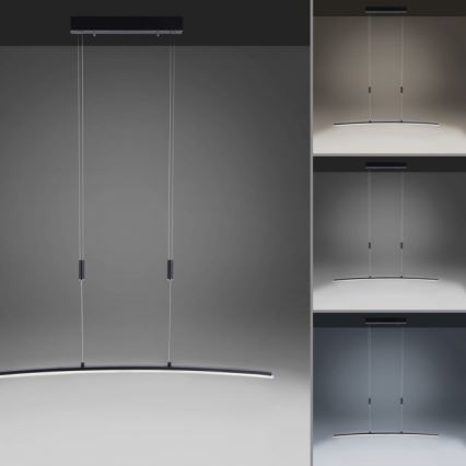 Paul Neuhaus 2530-13 - LED Himmennettävä kattokruunu johdossa JANINA LED/27W/230V
