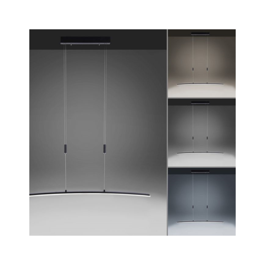 Paul Neuhaus 2530-13 - LED Himmennettävä kattokruunu johdossa JANINA LED/27W/230V