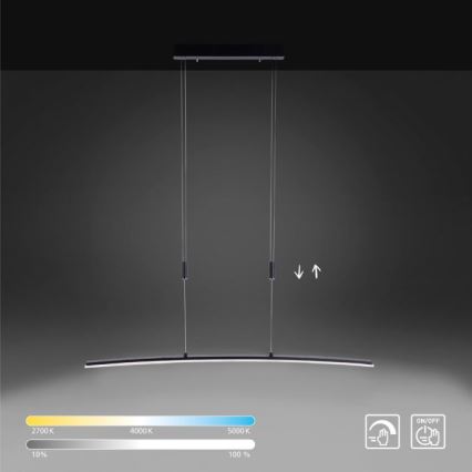 Paul Neuhaus 2530-13 - LED Himmennettävä kattokruunu johdossa JANINA LED/27W/230V