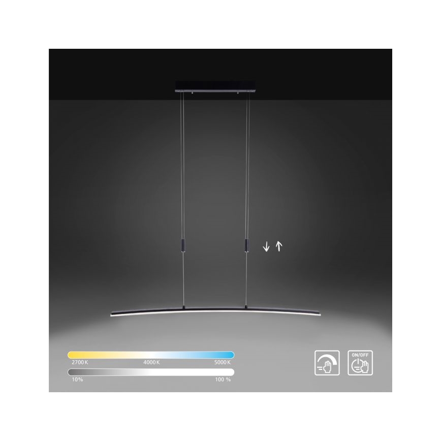 Paul Neuhaus 2530-13 - LED Himmennettävä kattokruunu johdossa JANINA LED/27W/230V