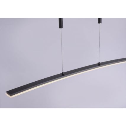Paul Neuhaus 2530-13 - LED Himmennettävä kattokruunu johdossa JANINA LED/27W/230V