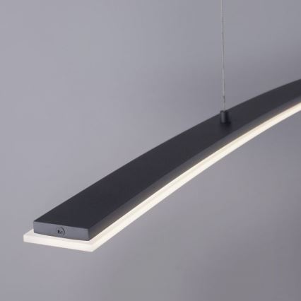 Paul Neuhaus 2530-13 - LED Himmennettävä kattokruunu johdossa JANINA LED/27W/230V