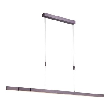Paul Neuhaus 2568-24 - Himmennettävä LED-kattokruunu johdossa ADRIANA LED/14W/230V 2700-5000K