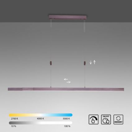 Paul Neuhaus 2568-24 - Himmennettävä LED-kattokruunu johdossa ADRIANA LED/14W/230V 2700-5000K