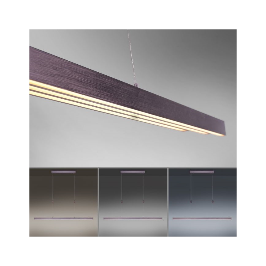 Paul Neuhaus 2568-24 - Himmennettävä LED-kattokruunu johdossa ADRIANA LED/14W/230V 2700-5000K