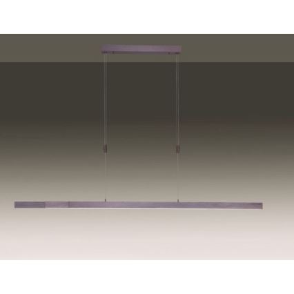 Paul Neuhaus 2568-24 - Himmennettävä LED-kattokruunu johdossa ADRIANA LED/14W/230V 2700-5000K
