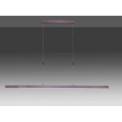 Paul Neuhaus 2568-24 - Himmennettävä LED-kattokruunu johdossa ADRIANA LED/14W/230V 2700-5000K