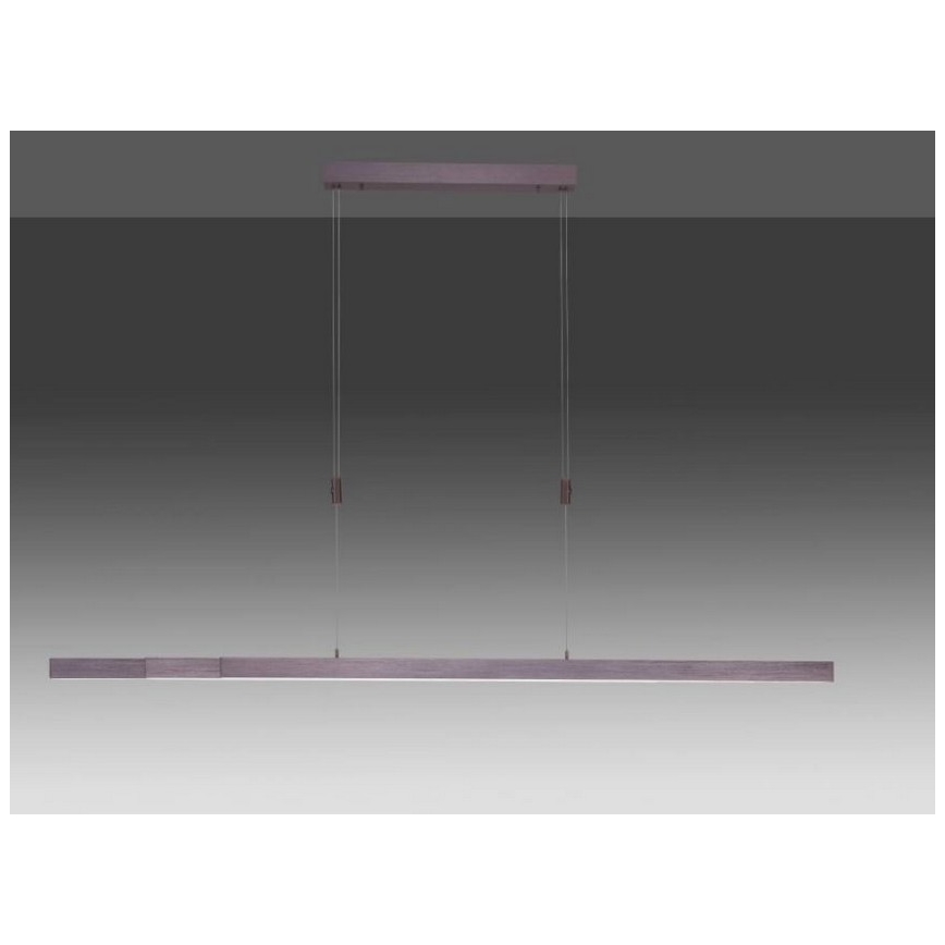 Paul Neuhaus 2568-24 - Himmennettävä LED-kattokruunu johdossa ADRIANA LED/14W/230V 2700-5000K
