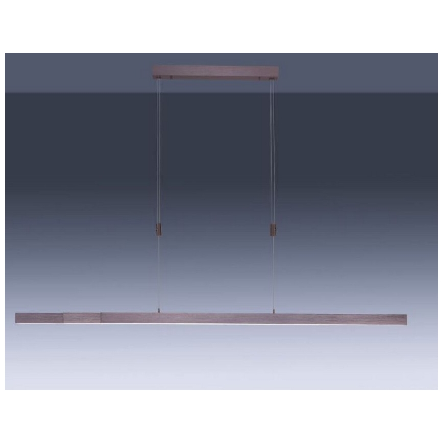 Paul Neuhaus 2568-24 - Himmennettävä LED-kattokruunu johdossa ADRIANA LED/14W/230V 2700-5000K