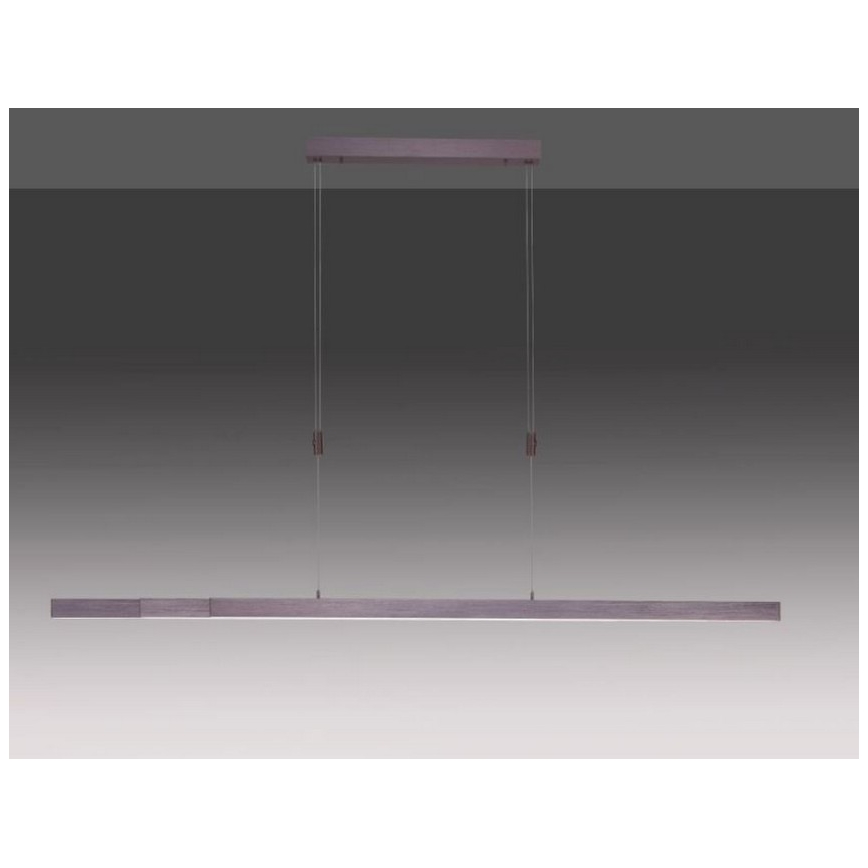 Paul Neuhaus 2568-24 - Himmennettävä LED-kattokruunu johdossa ADRIANA LED/14W/230V 2700-5000K