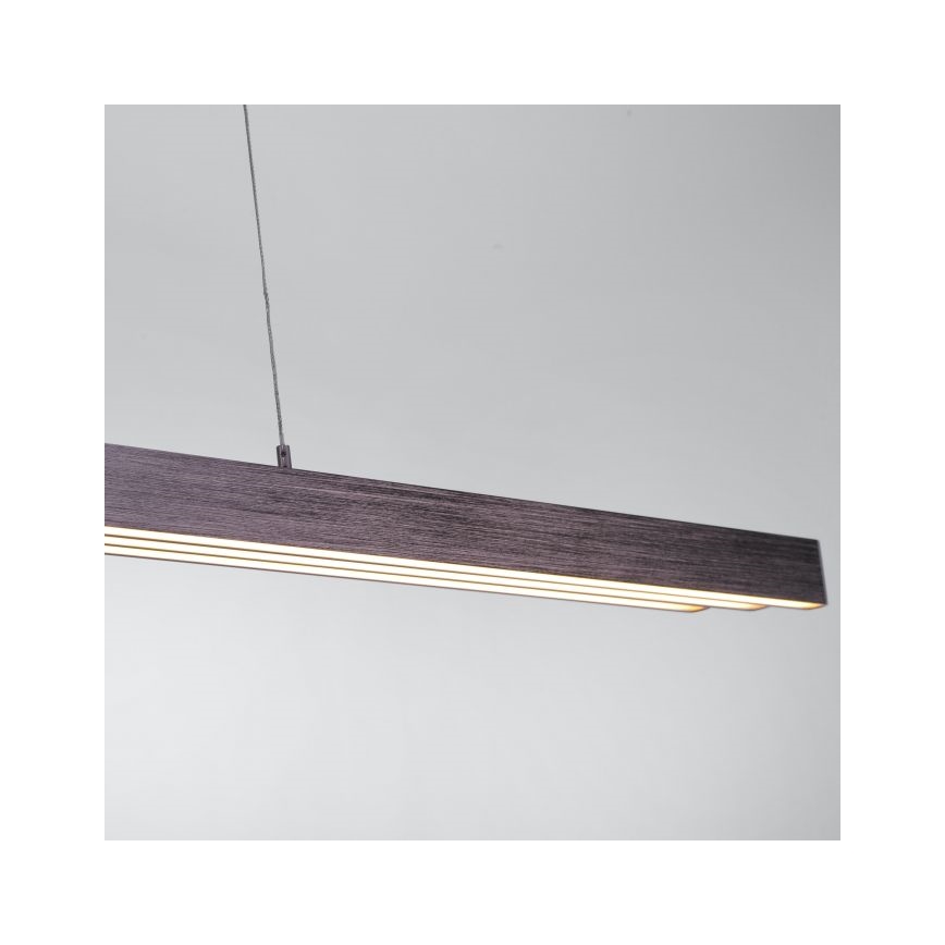 Paul Neuhaus 2568-24 - Himmennettävä LED-kattokruunu johdossa ADRIANA LED/14W/230V 2700-5000K