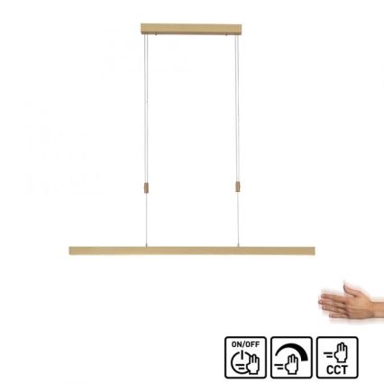 Paul Neuhaus 2568-60 - Himmennettävä LED-kattokruunu johdossa ADRIANA LED/14W/230V  2700-5000K messinki