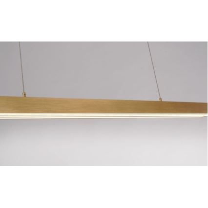 Paul Neuhaus 2568-60 - Himmennettävä LED-kattokruunu johdossa ADRIANA LED/14W/230V  2700-5000K messinki