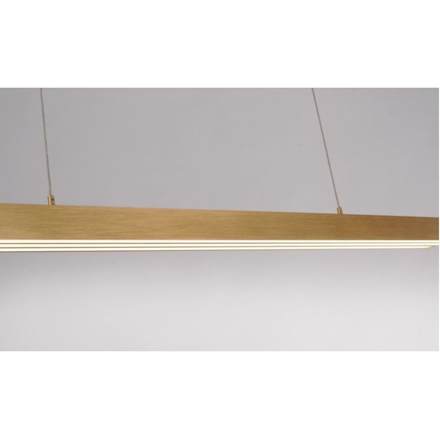 Paul Neuhaus 2568-60 - Himmennettävä LED-kattokruunu johdossa ADRIANA LED/14W/230V  2700-5000K messinki