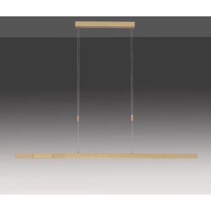 Paul Neuhaus 2568-60 - Himmennettävä LED-kattokruunu johdossa ADRIANA LED/14W/230V  2700-5000K messinki