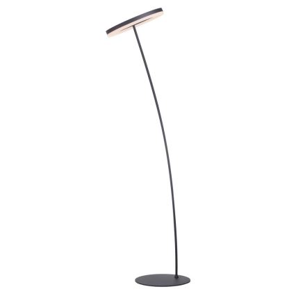 Paul Neuhaus 381-13 - LED Himmennettävä lattialamppu TITUS LED/19,5W/230V