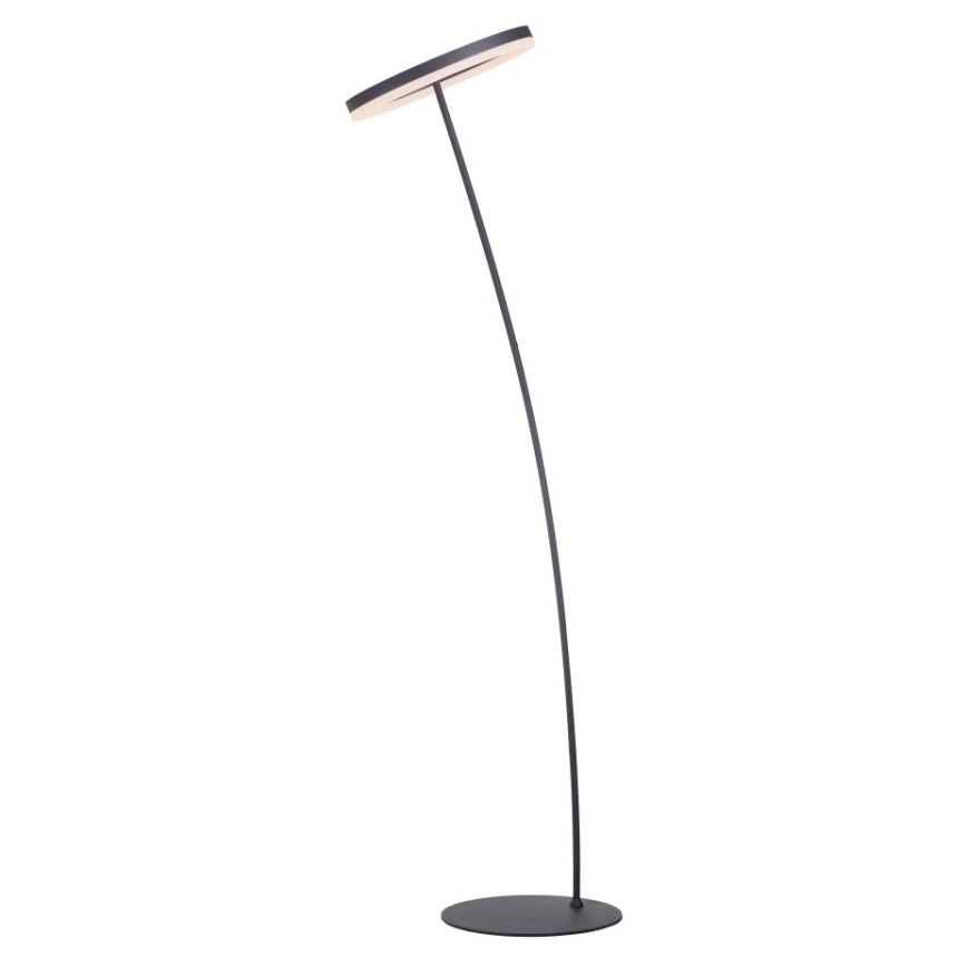 Paul Neuhaus 381-13 - LED Himmennettävä lattialamppu TITUS LED/19,5W/230V