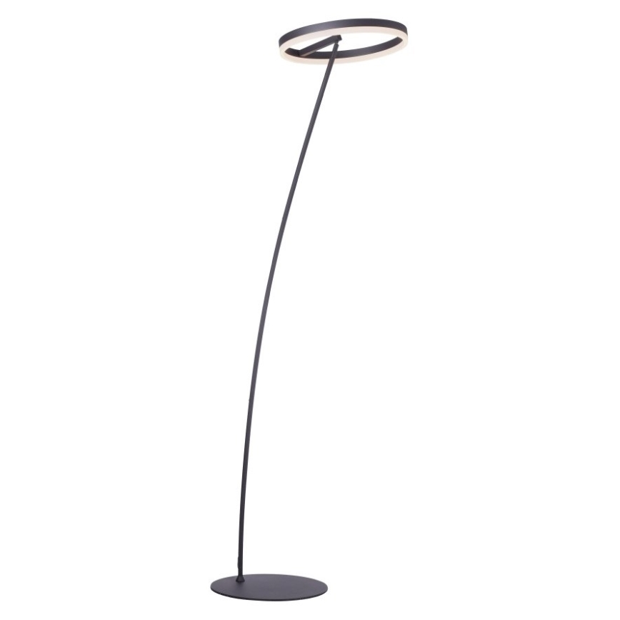 Paul Neuhaus 381-13 - LED Himmennettävä lattialamppu TITUS LED/19,5W/230V