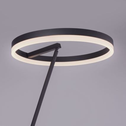 Paul Neuhaus 381-13 - LED Himmennettävä lattialamppu TITUS LED/19,5W/230V