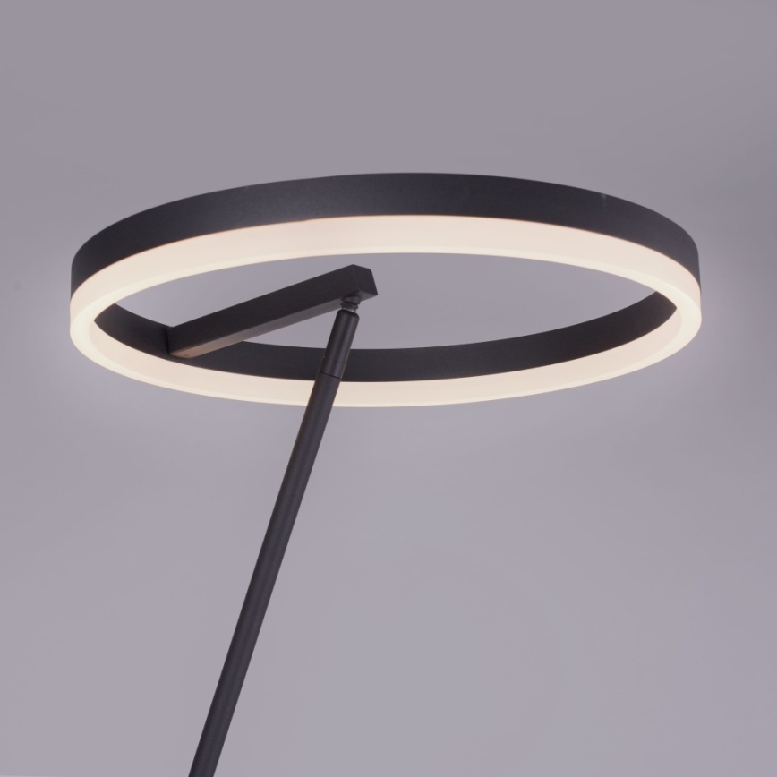 Paul Neuhaus 381-13 - LED Himmennettävä lattialamppu TITUS LED/19,5W/230V