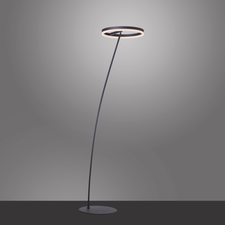 Paul Neuhaus 381-13 - LED Himmennettävä lattialamppu TITUS LED/19,5W/230V