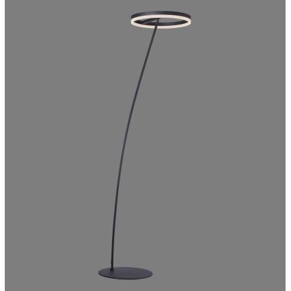 Paul Neuhaus 381-13 - LED Himmennettävä lattialamppu TITUS LED/19,5W/230V